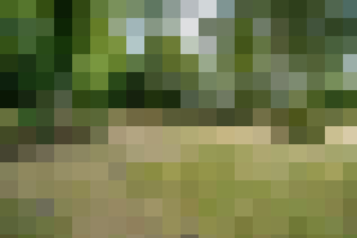 Image 15