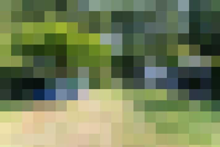 Image 22