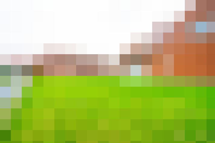 Image 23