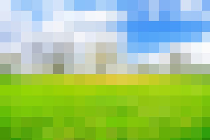 Image 22