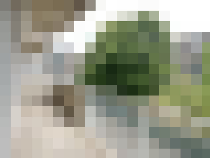 Image 17