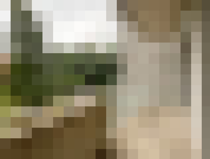 Image 16