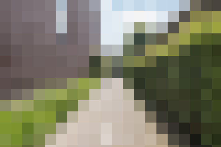 Image 25
