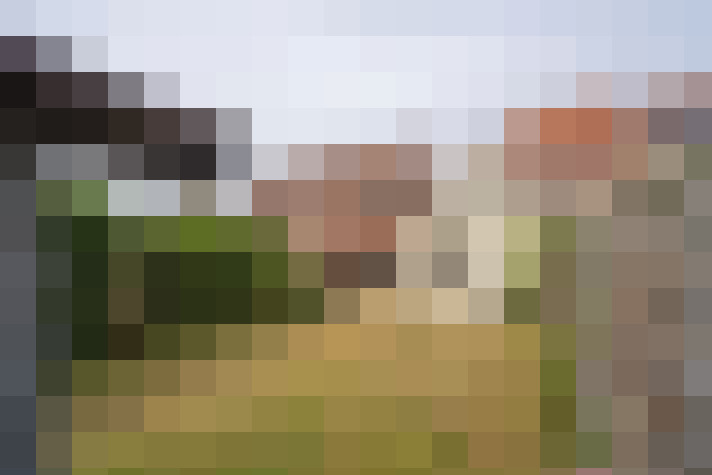 Image 22
