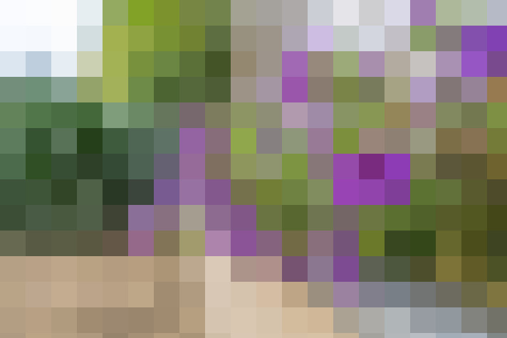 Image 24