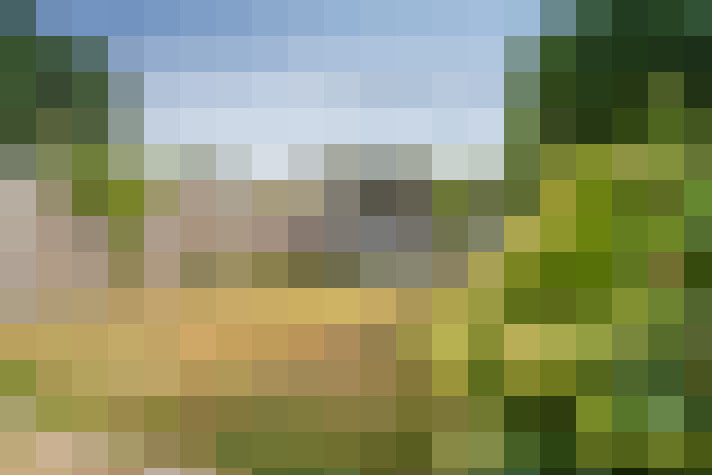Image 25