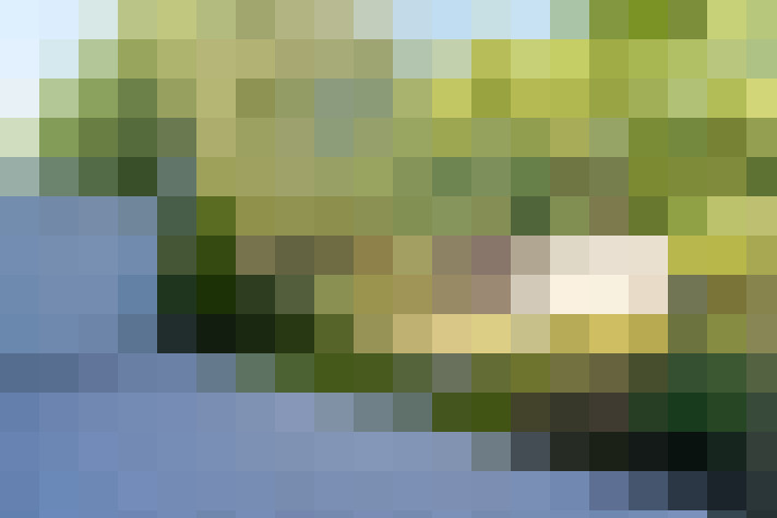 Image 17