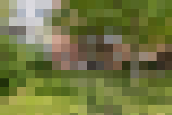 Image 18