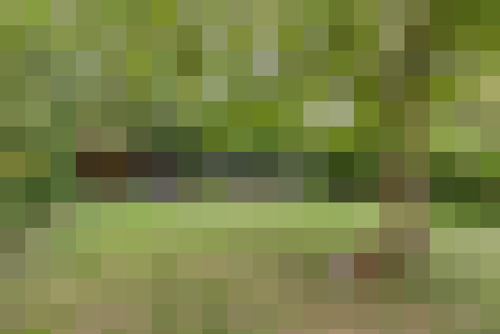 Image 17