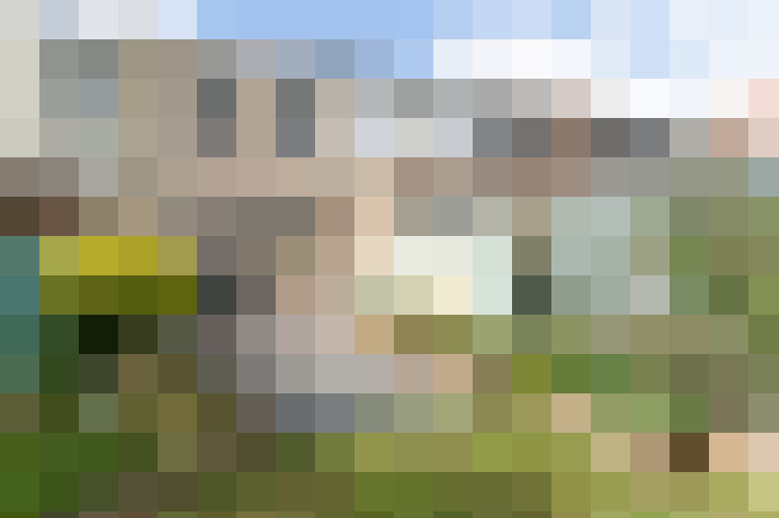 Image 16