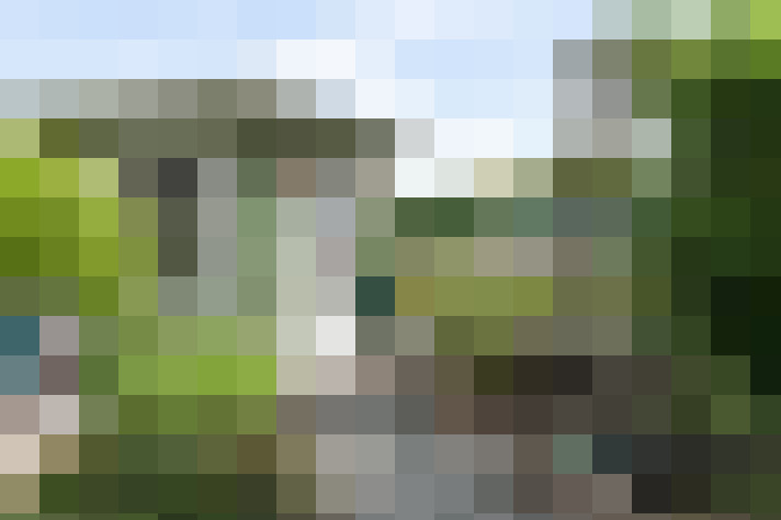 Image 14
