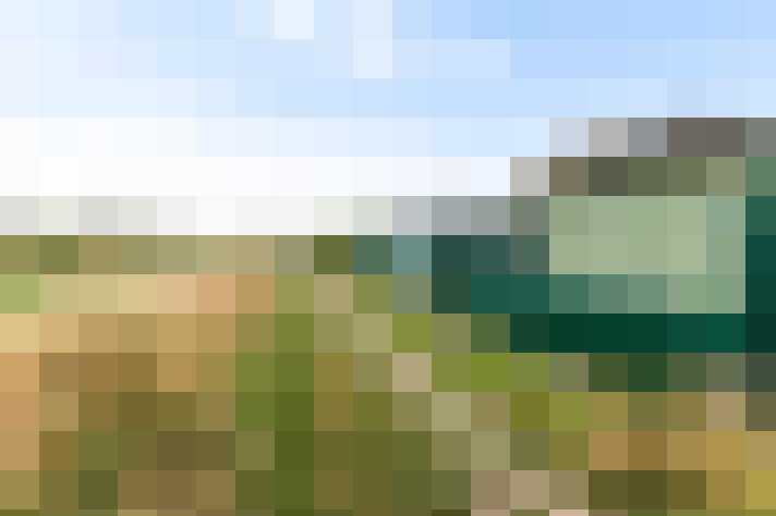 Image 25