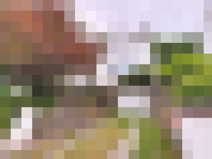 Image 14
