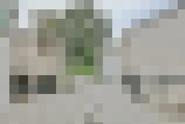 Image 13