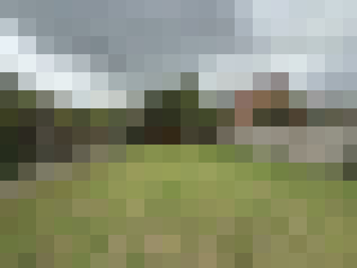 Image 14