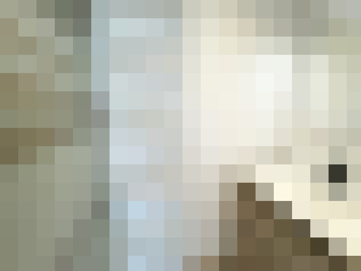 Image 20