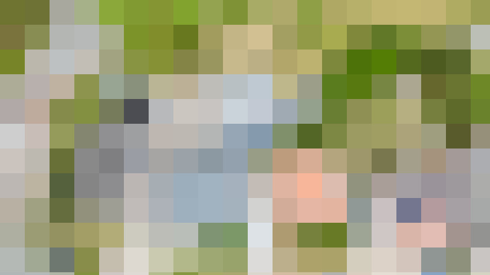 Image 22