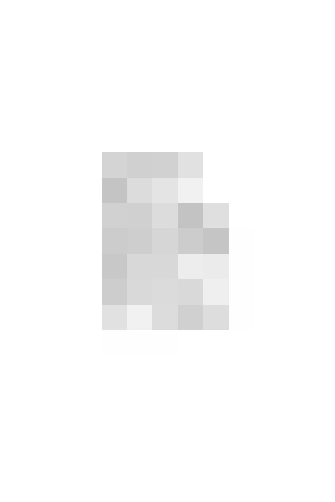 Image 29