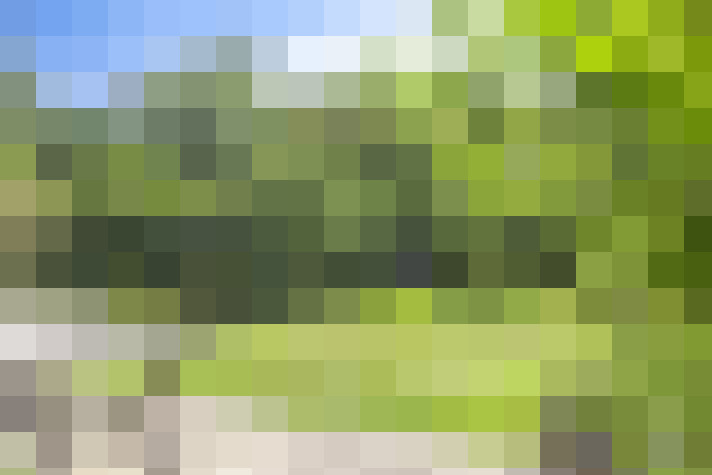 Image 16