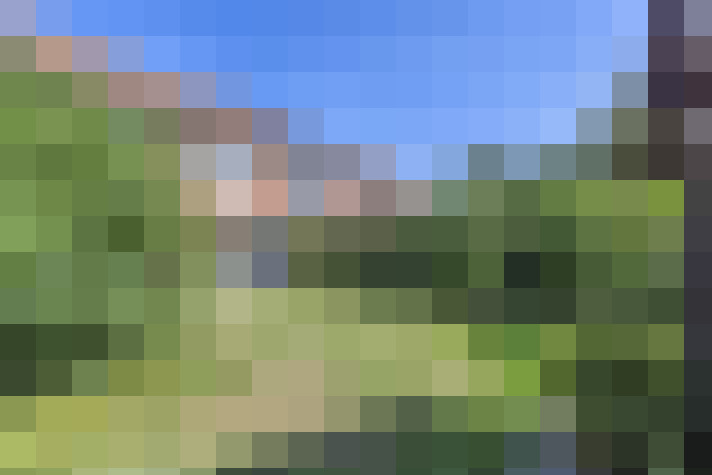 Image 17