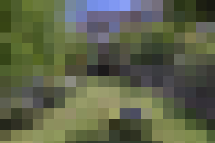 Image 13