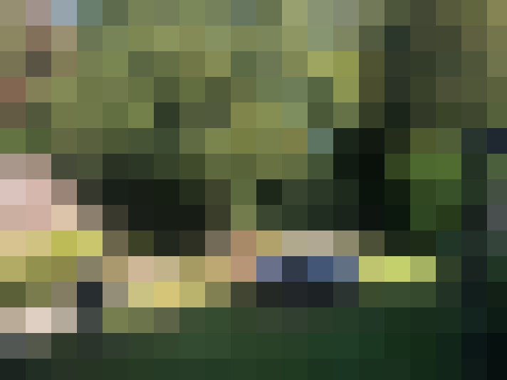Image 16