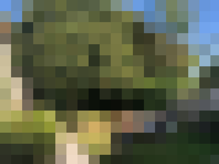 Image 15