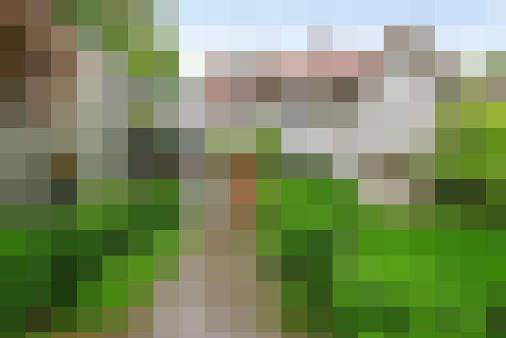 Image 28