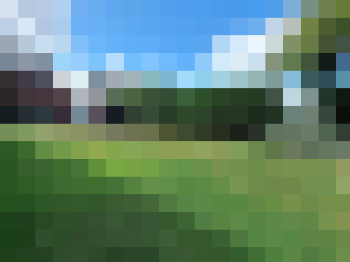 Image 29