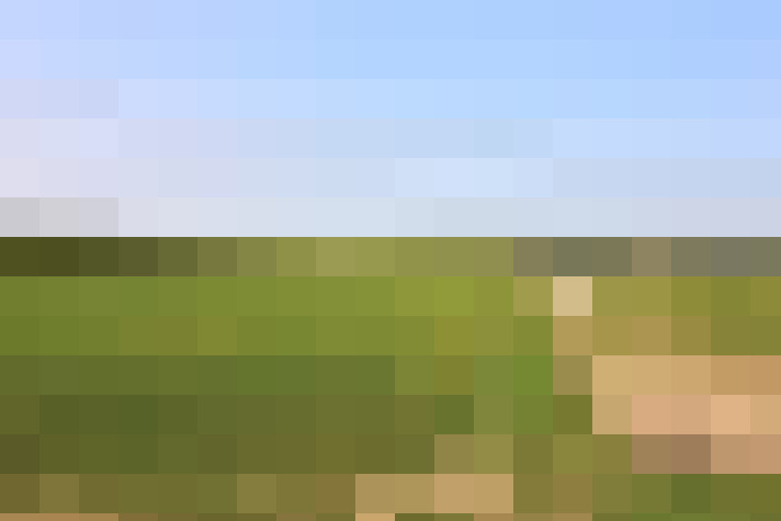 Image 23