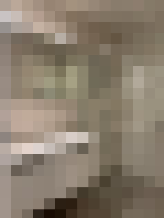 Image 16