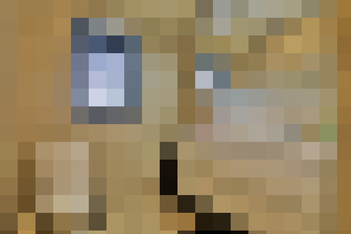 Image 14