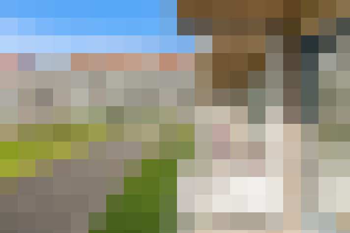 Image 15