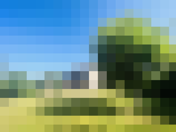 Image 27