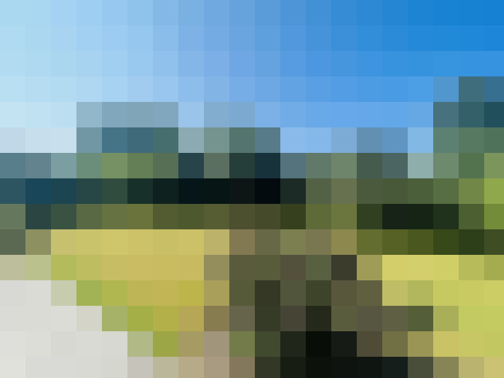 Image 25