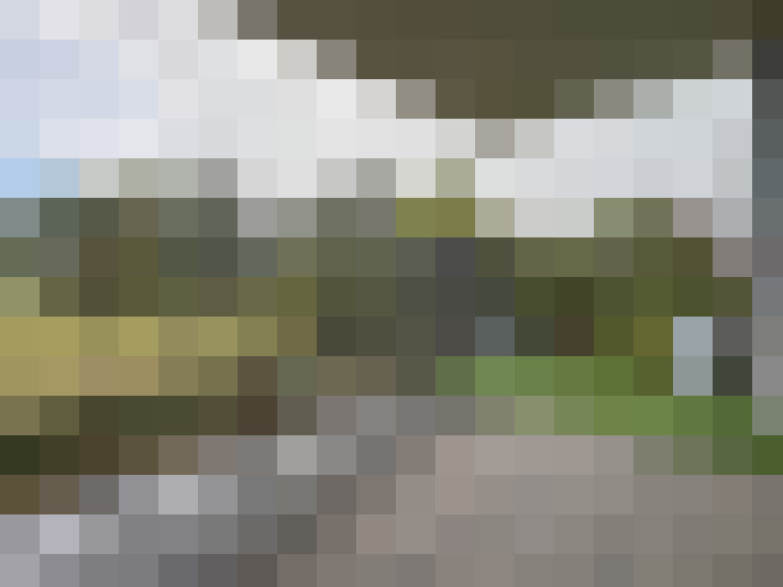 Image 14