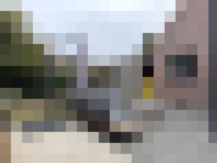 Image 21
