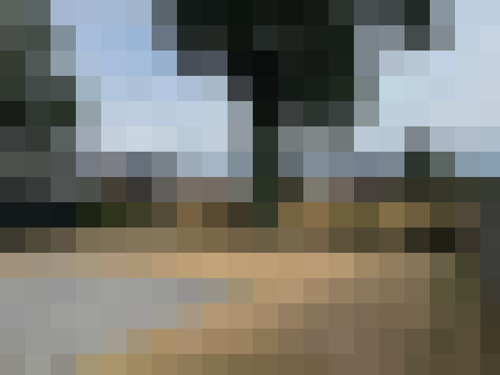 Image 19
