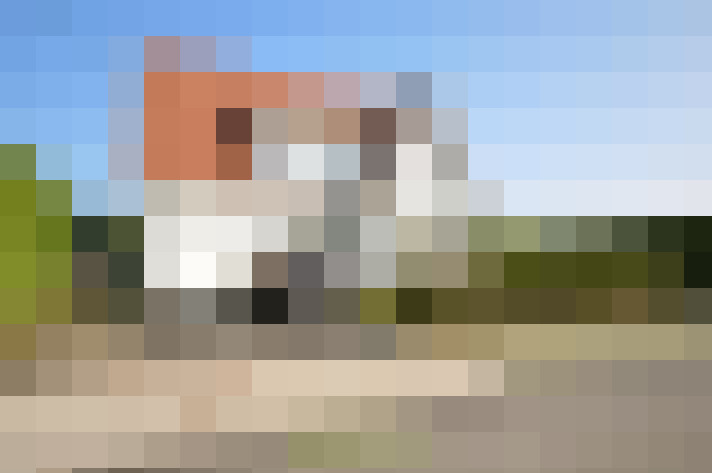 Image 21