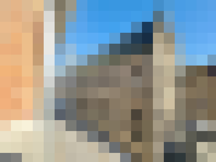 Image 20