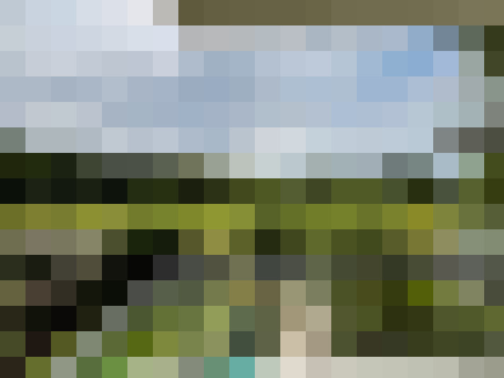 Image 16