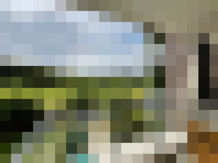 Image 15