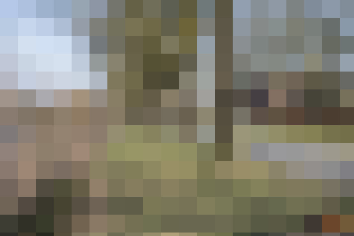 Image 29