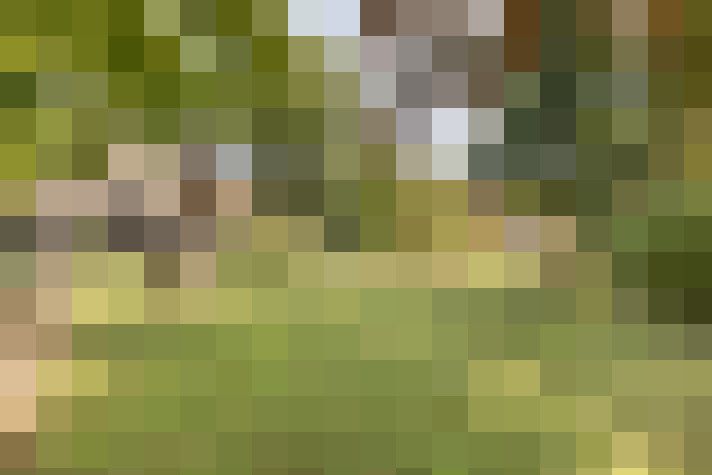 Image 14