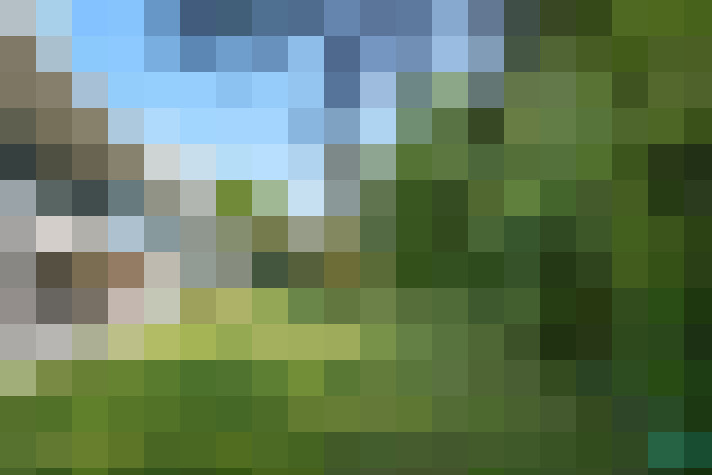 Image 24