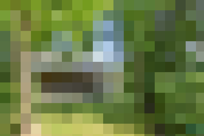 Image 25