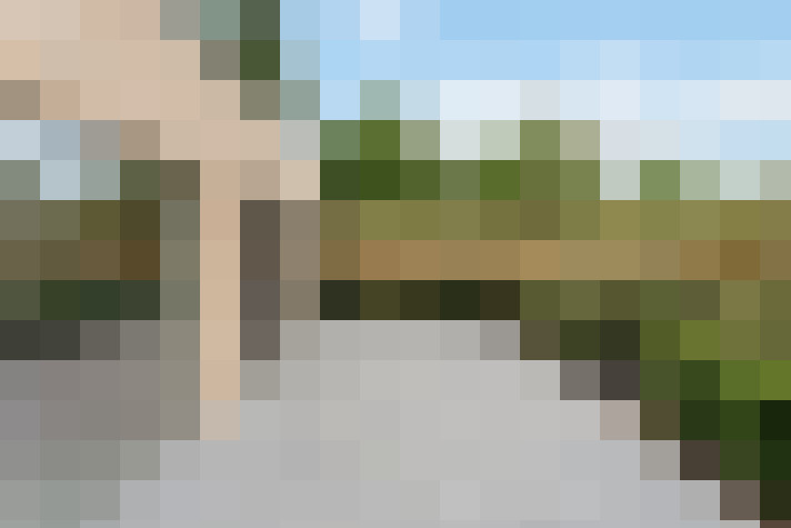 Image 16