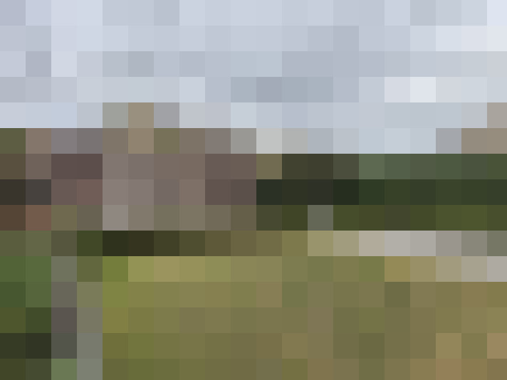 Image 17