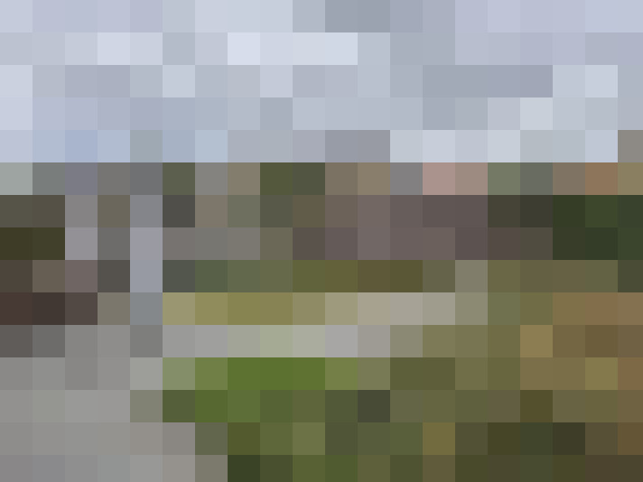 Image 16