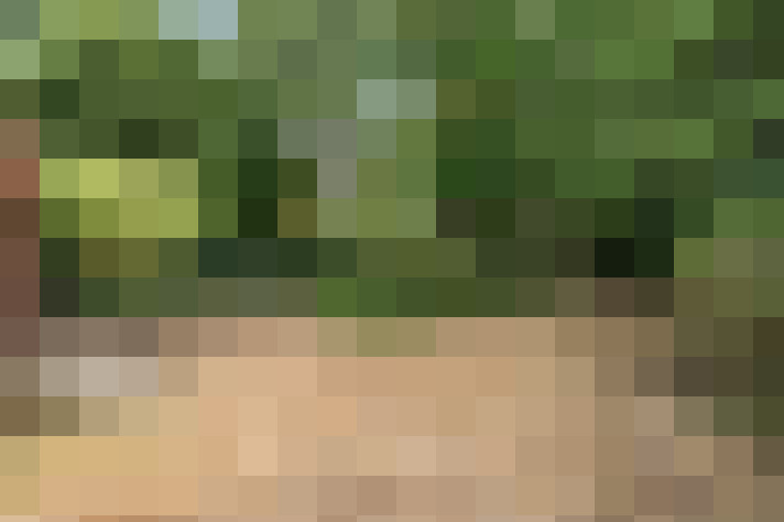 Image 23